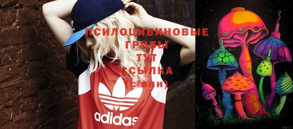 шишки Нефтегорск