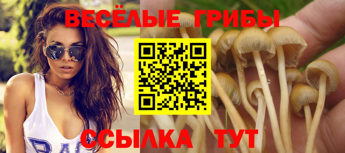 Ногинск  Галлюциногенные грибы Psilocybine cubensis  Вход с VPN 